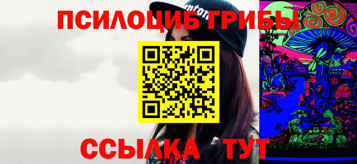 Псилоцибиновые грибы Psilocybe Можга